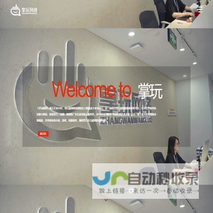掌玩网络